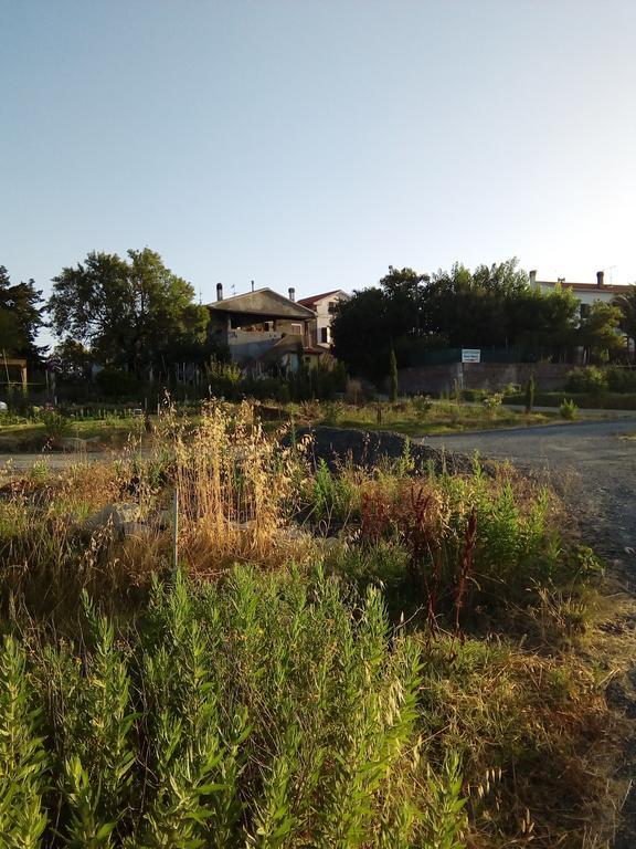 Carlo'S Country House Кастелліна-Мариттіма Екстер'єр фото