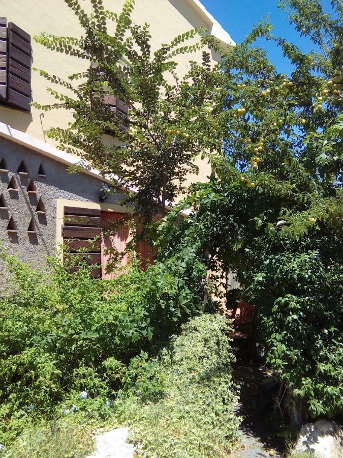 Carlo'S Country House Кастелліна-Мариттіма Екстер'єр фото